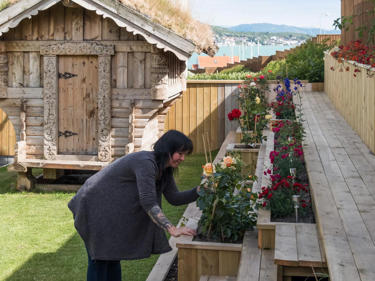 Bilde av Bjørg som ordner med blomstene