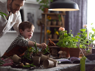 Bilde av far og sønn med planter
