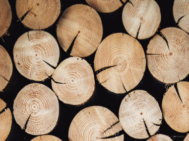Bilde av trestokker stablet