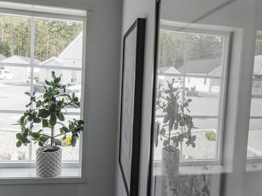 Nærbilde av rammer og plante på kjøkkenet