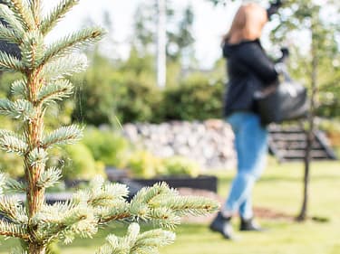 Bilde av en dame i bakgrunnen som høster fra hagen sin