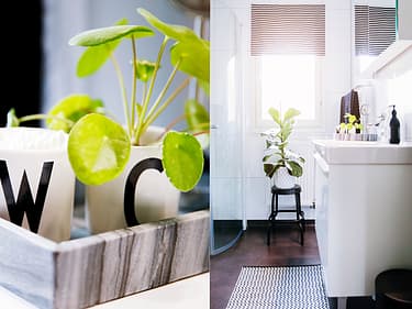 Todelt bilde av badet og dekor de har der