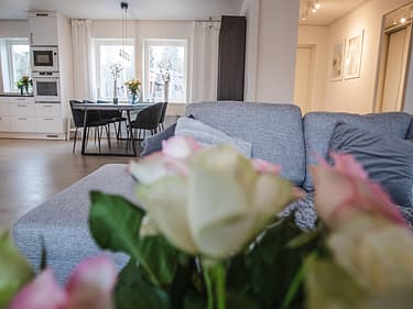 Nærbilde av blomster i stuen