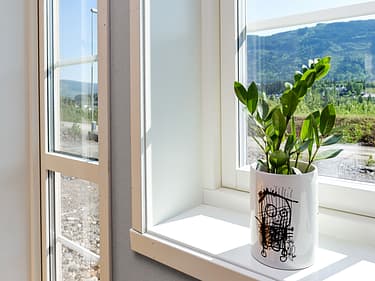 Bilde av sola som skinner inn i vinduskarmen