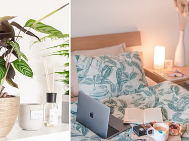 Bilde av soverom med dekor og planter