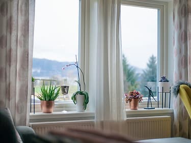 Bilde av vinduskarm