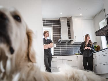 Nærbilde av familiehunden