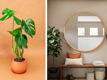 bilde av kommode og planter