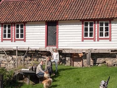 Bilde av familien på gårdsplassen sammen med hundene
