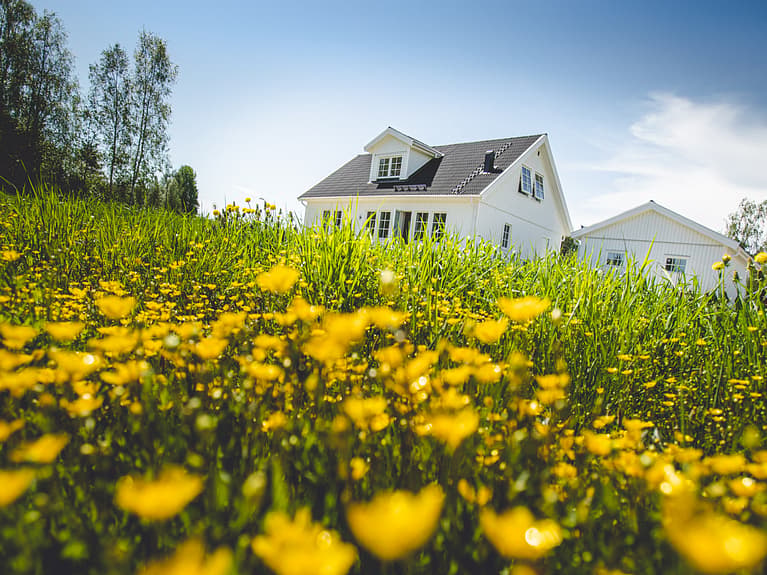 Bilde av huset i blomstereng
